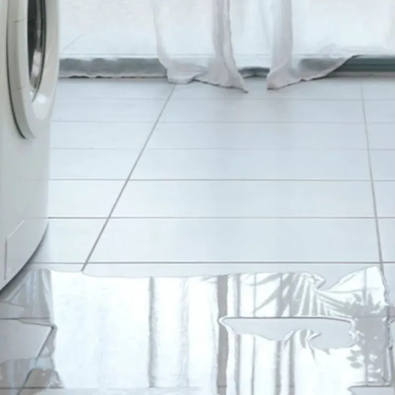 Appliance Leak Cleanup in Robbins, NC