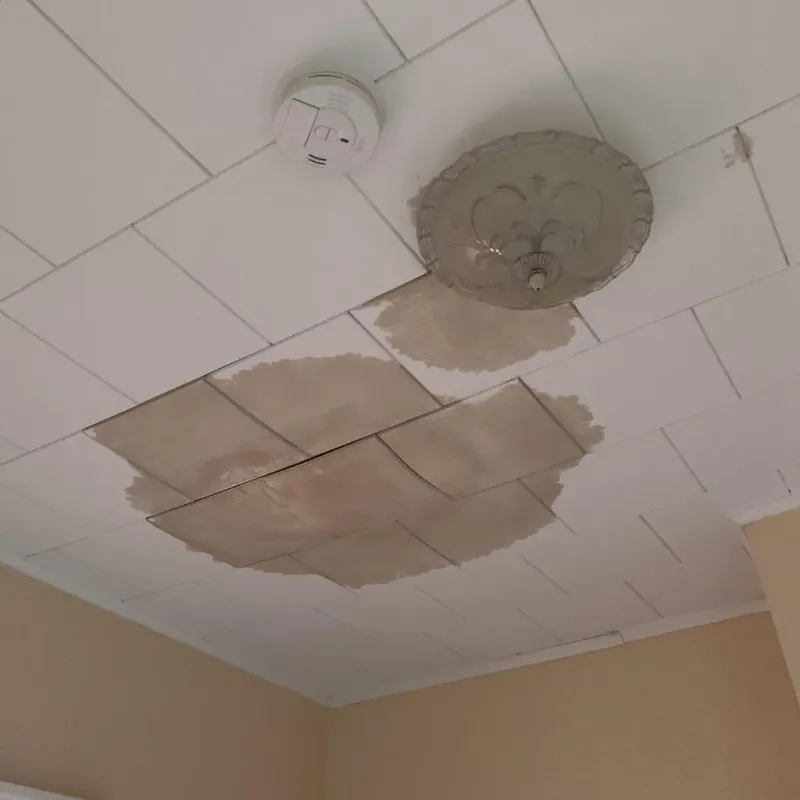 Ceiling Water Damage Repair in Robbins, NC