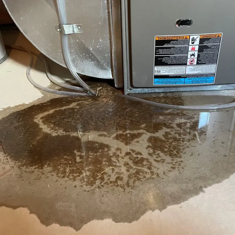 Pipe Burst and Leak Restoration in Robbins, NC