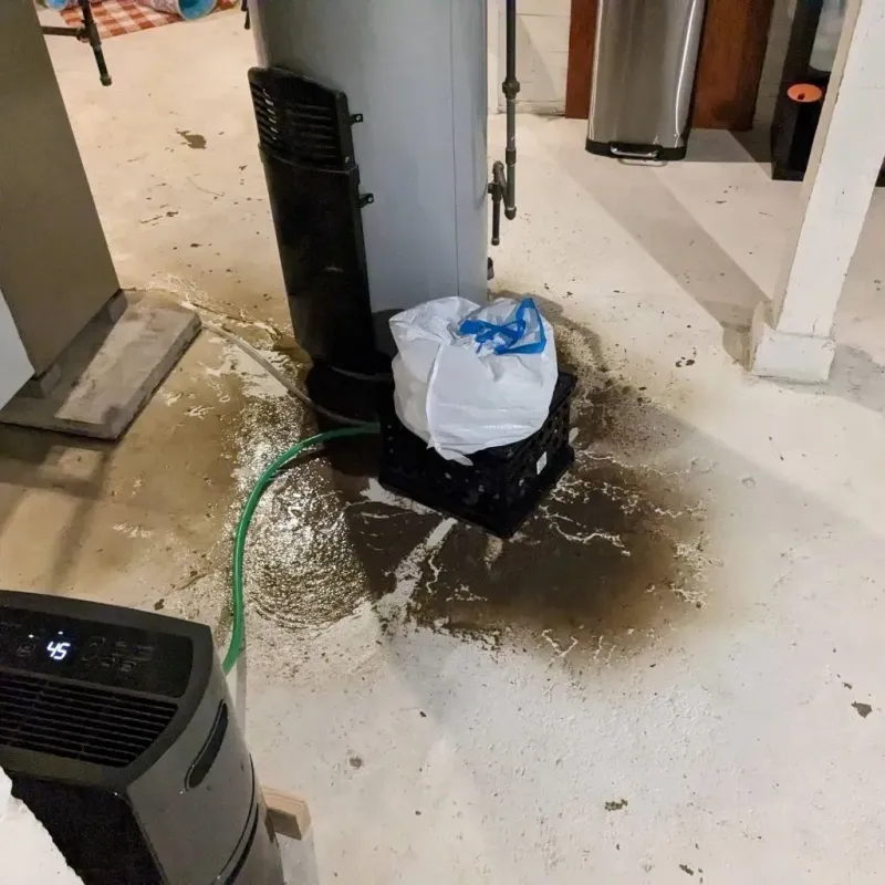 Sewage Backup Cleanup Service in Robbins, NC